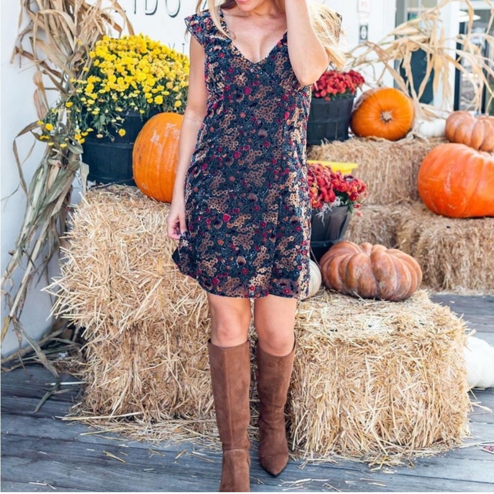 Willow & Clay Floral Print Velvet Burnout Babydoll Mini Dress V-Neck Small